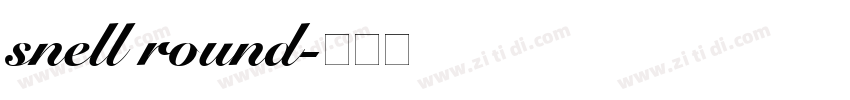 snell round字体转换